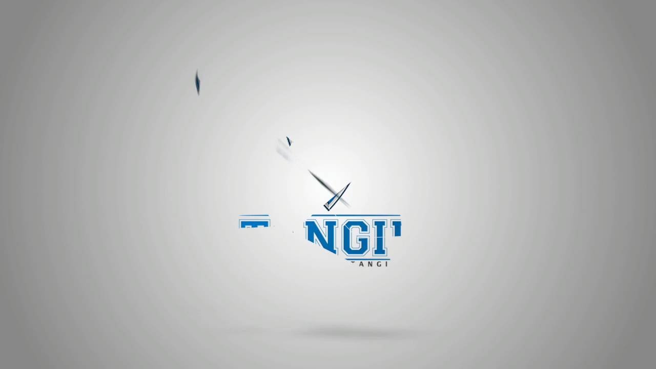 Intro#170 Pieces Logo Formation