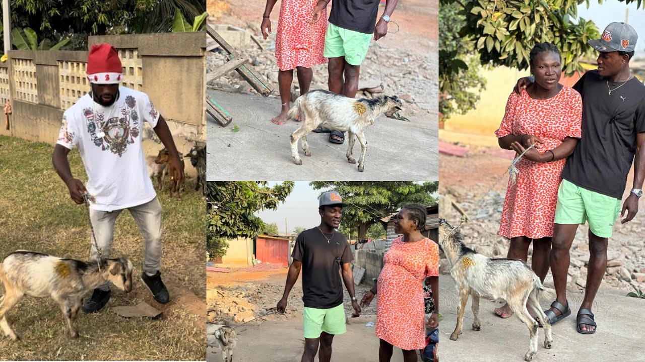 Mama Ange🎉🤩Recieved A Goat as a Christmas🎅🎄You Will Laugh Till you Break ur Ribs🤩Bigups Akata
