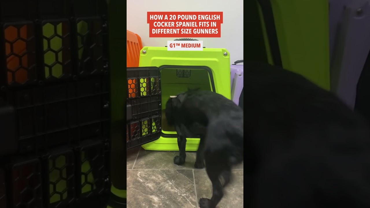 Choose the Right Size GUNNER Kennel for Your Dog | Proper Sizing Guide
