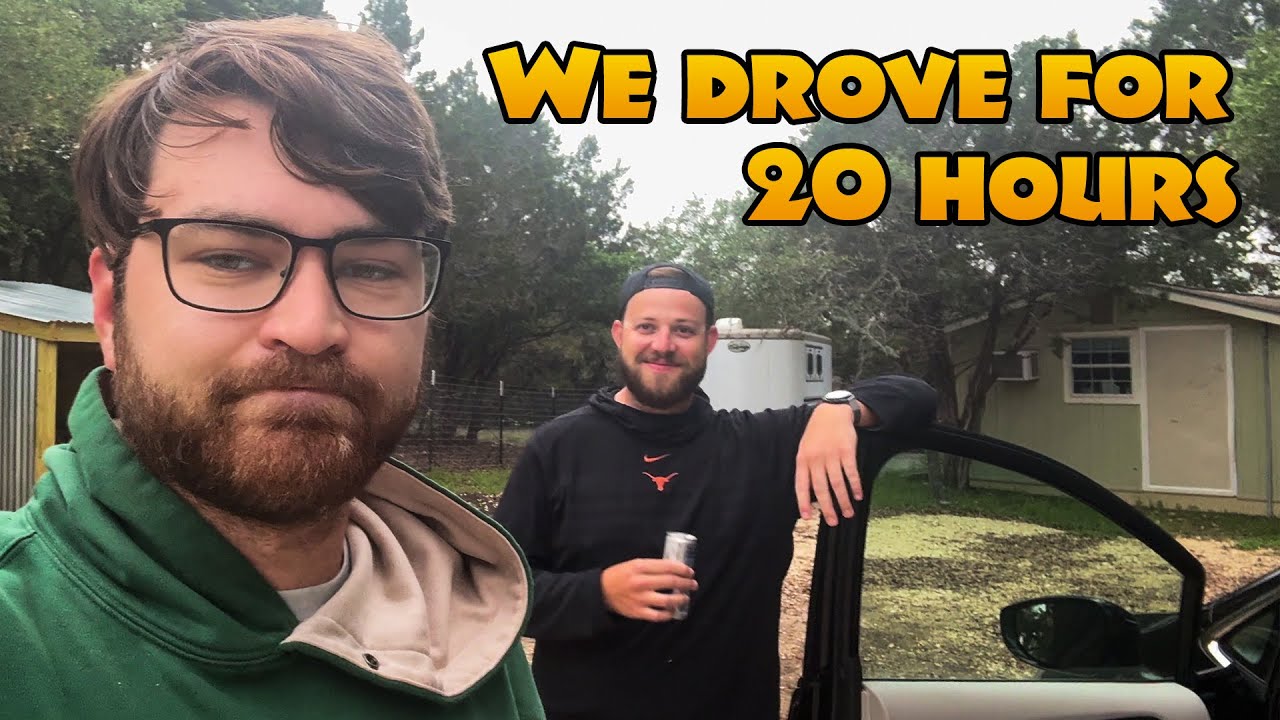 Picking Up Our Wolf Hybrids