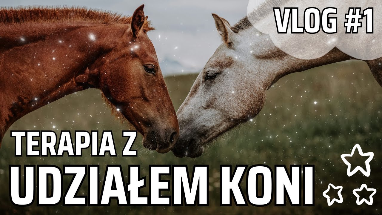 Konferencja: Terapia z udziałem KONI! Vlog #1