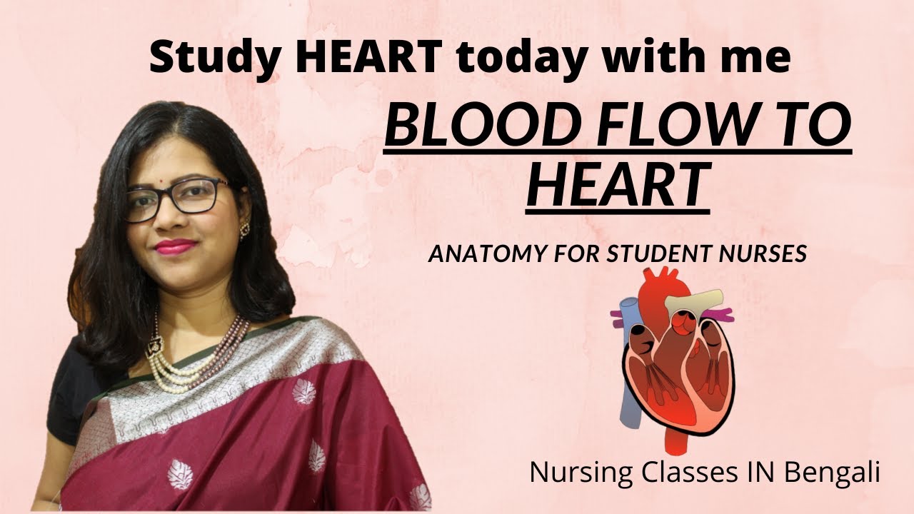 Blood flow to Heart I Anatomy For Nurses I Cardiovascular System