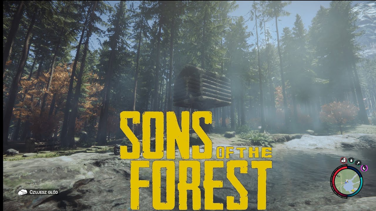 Sons Of The Forest z PiTi_Boyem / Budowa domku i odnalezienie bunkru z drukarką