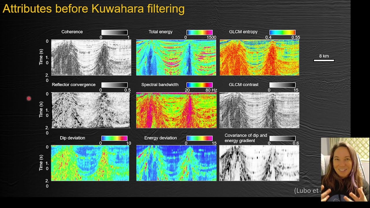 Seismic Reflection Interpretation 3-6 Filtering for Enhancement of Seismic Attributes