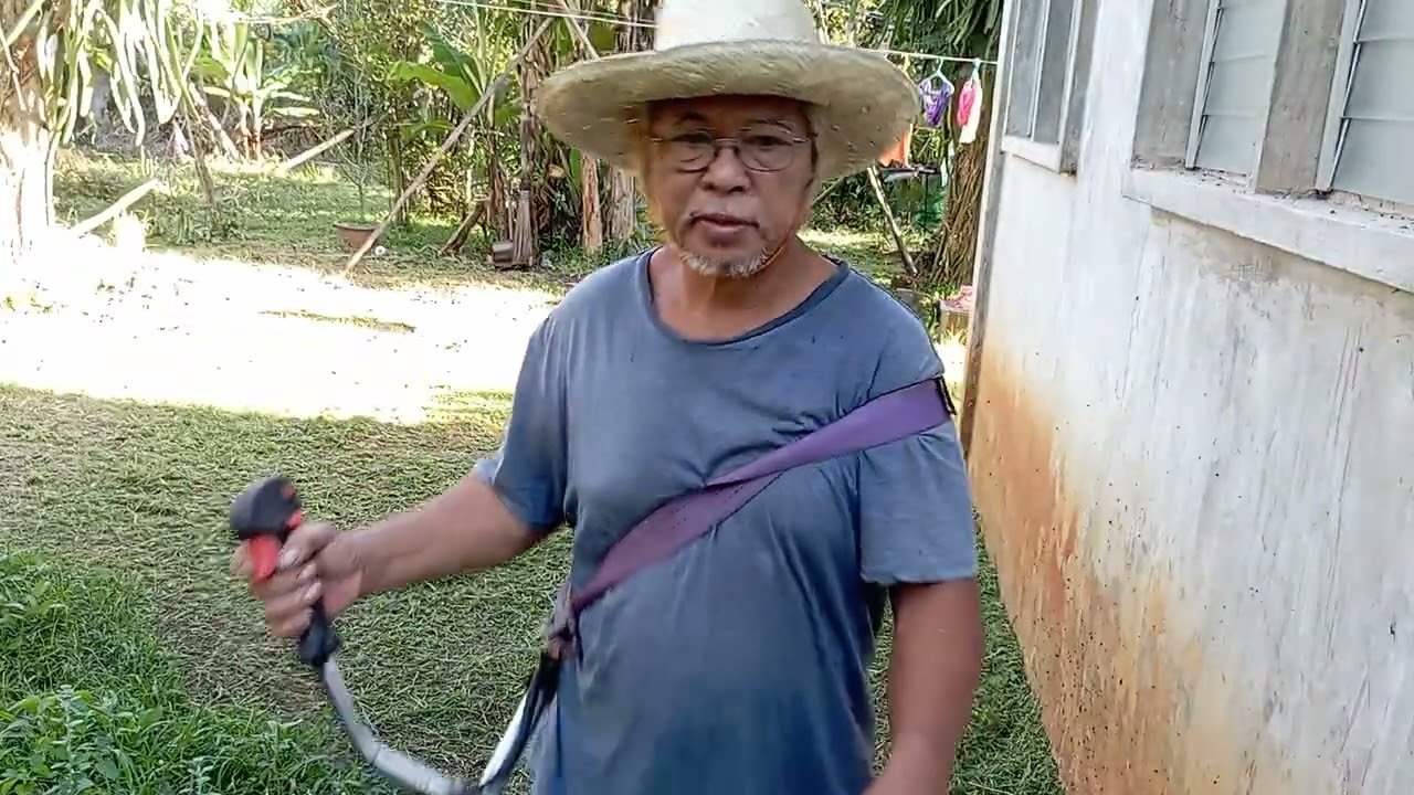 EP278 Cutting  grass besides my house amigos thanks for watching