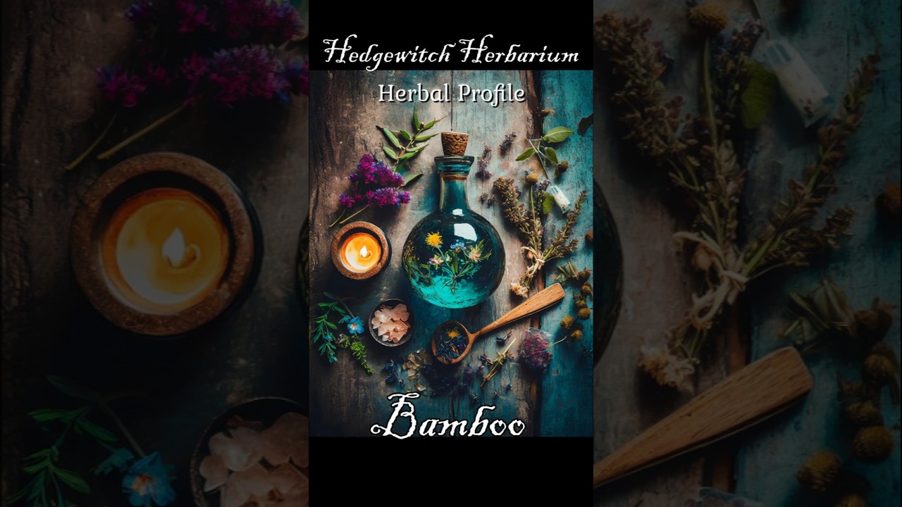 Herbal Profile: Bamboo - Magical Properties and more! #plants #herbal #bamboo #magic