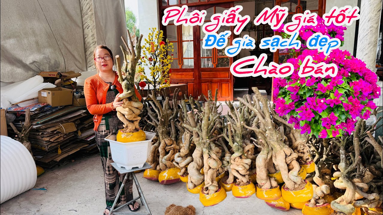Phôi giấy Mỹ đế già sạch đẹp chào bán bao phí ship..24/02😘📲0772.119.600.Quỳnh-Như 
