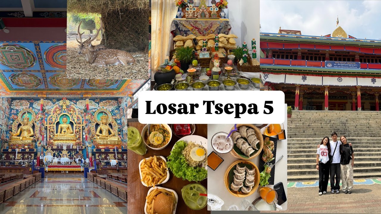 Losar Tsepa 5||Bylakuppe||Tibetan vlogger #gorshey #tibetanvlogger #tibetan 