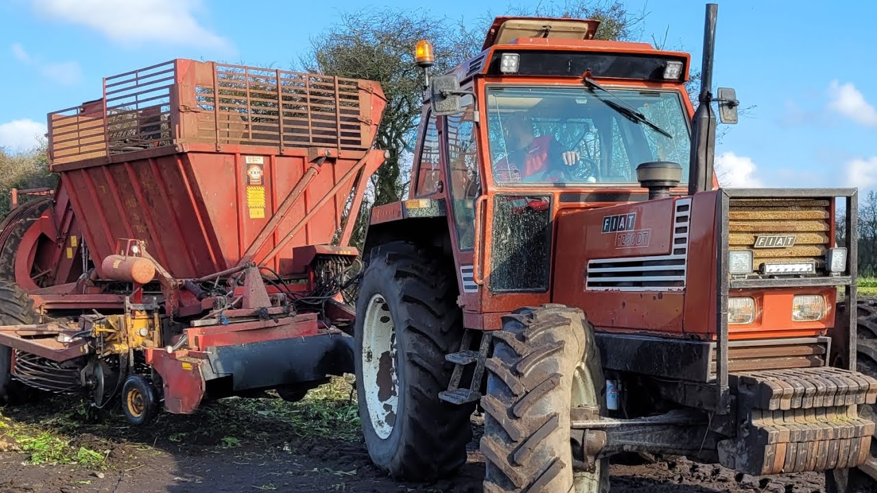 vestjysk roeforeningen 2024 part 1 😃😃😄😄🚜🚜🚜🇩🇰🇩🇰🇩🇰