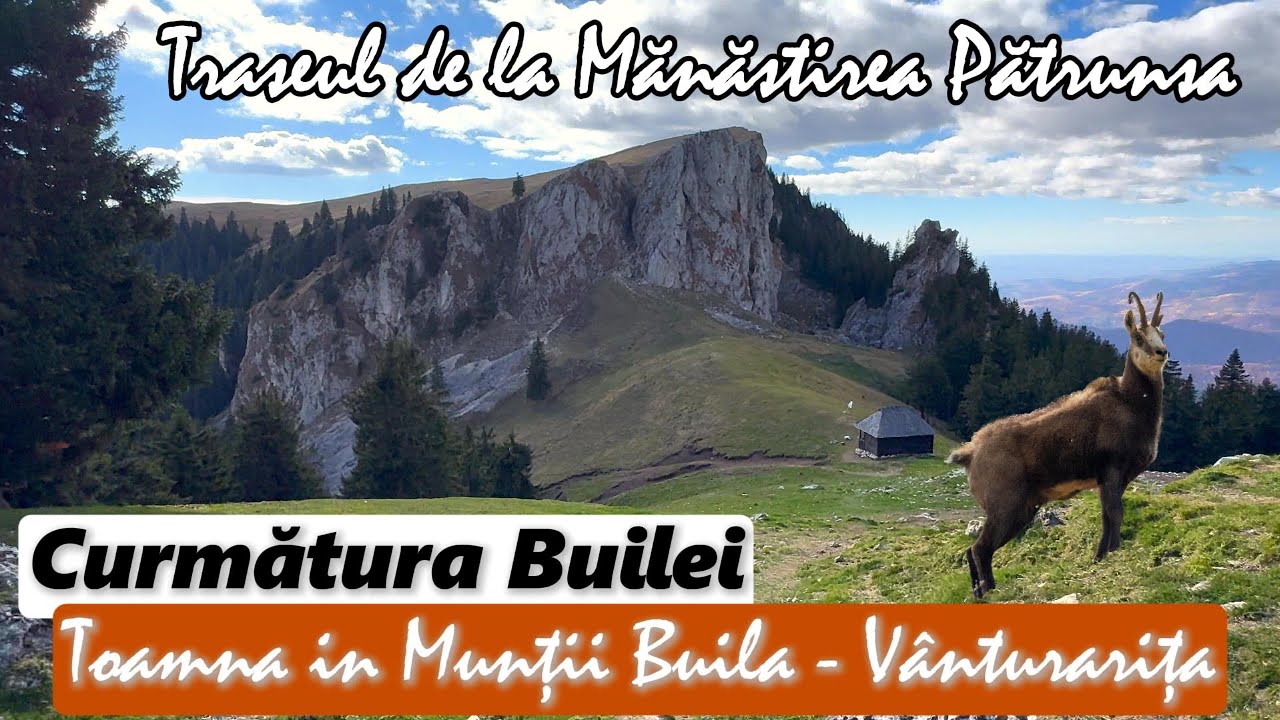 Ruginiu de toamnă și CAPRE negre pe traseul Mănăstirea Pătrunsa - Curmatura Builei, octombrie 2025
