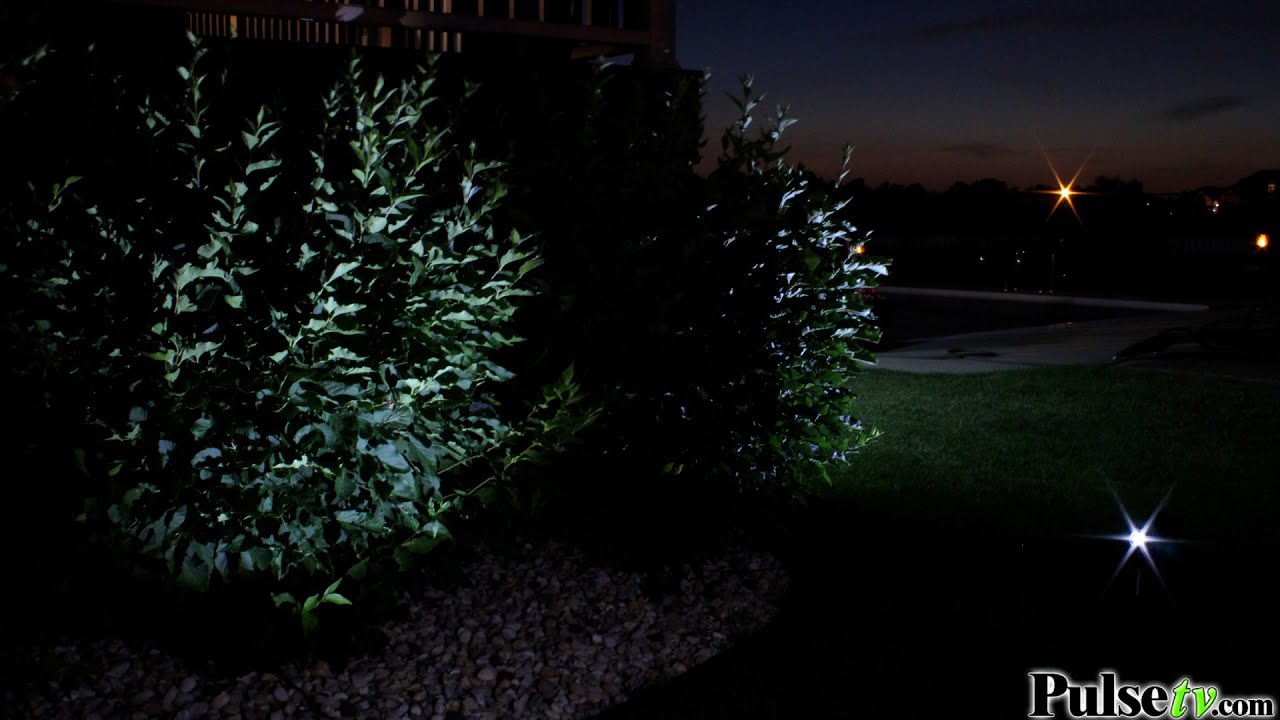 Adjustable Focus Solar Garden Spotlight