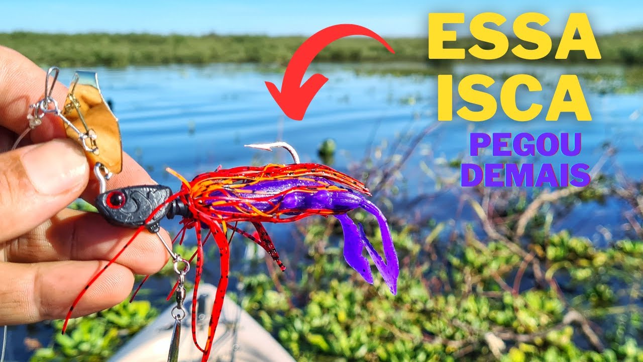 ESSA ISCA PEGA TRAÍRA com frio Pescando trairas de Chatterbait