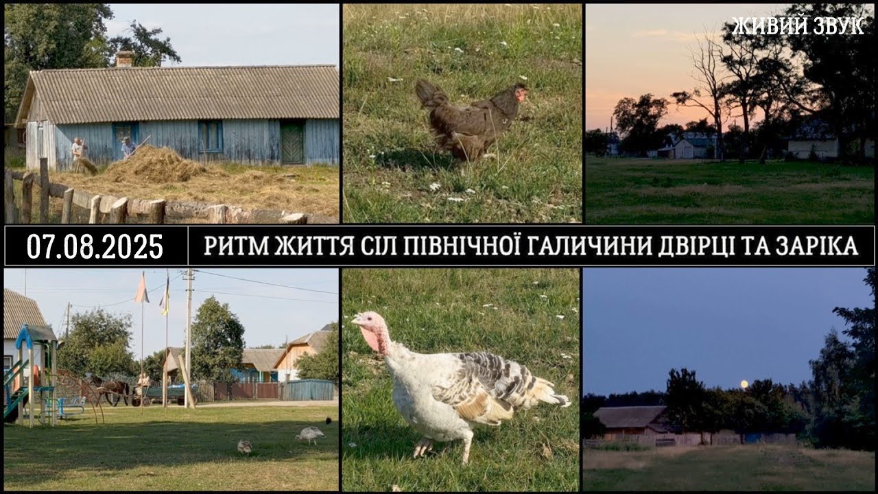Ритм життя сіл Північної Галичини Двірці та Заріка, Шептицький район, Львівська область, Україна