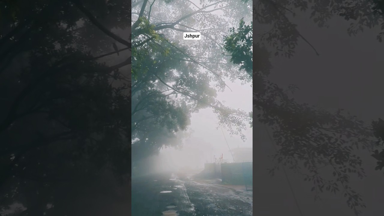 Jashpur tour #shorts #shortsfeed #shortvideo #jashpur #travel #ranidah #waterfall #picnic #vlog