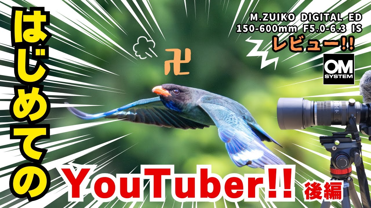 M.ZUIKO DIGITAL ED 150-600mm F5.0-6.3 ISでブッポウソウ撮影！作例とファインダー内動画紹介&使用レビュー！！