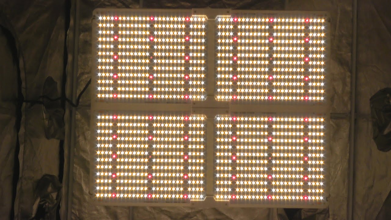 Spider Farmer SF-4000 LED Grow Light Unboxing & PAR Test!