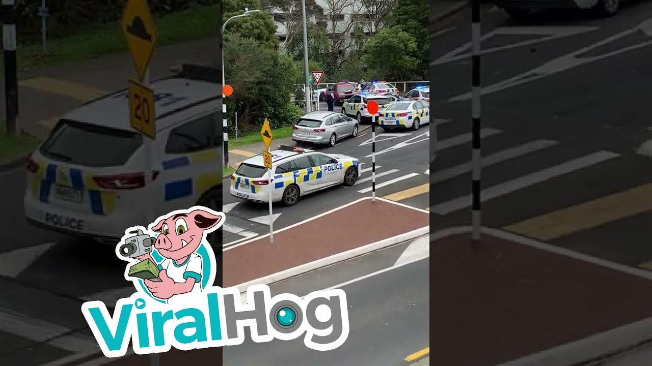 Police Chase Down SUV in Auckland || ViralHog