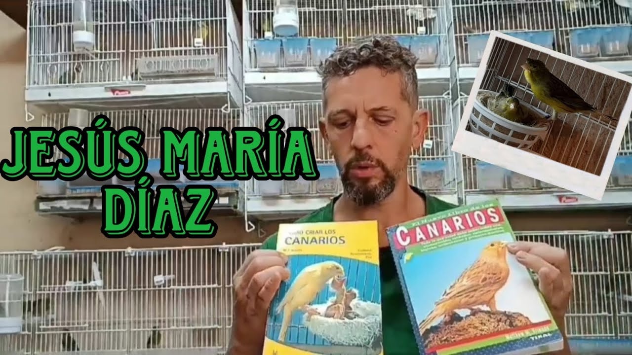 ME DECANTÉ por el TIMBRADO ORIGINAL