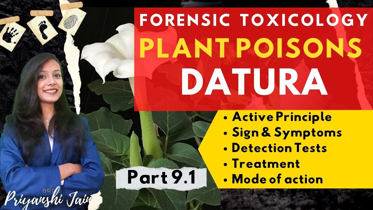 Datura Poisoning | Forensic Toxicology & Medicine | Plant poison | Priyanshi Jain