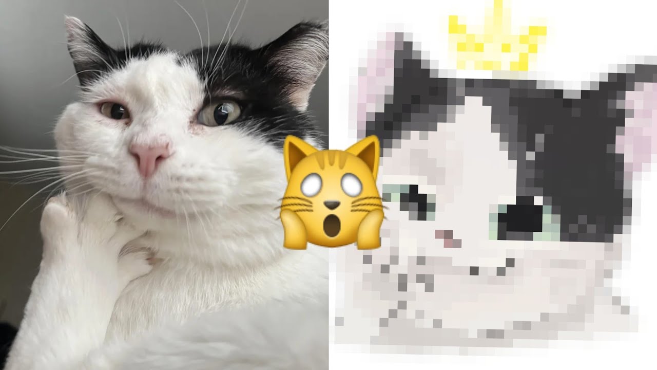 Dibujo mascotas de Reddit!!🐱✨️