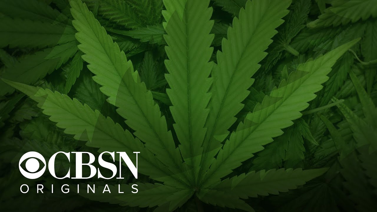 CBSN Originals | Big Pot: The commercial takeover