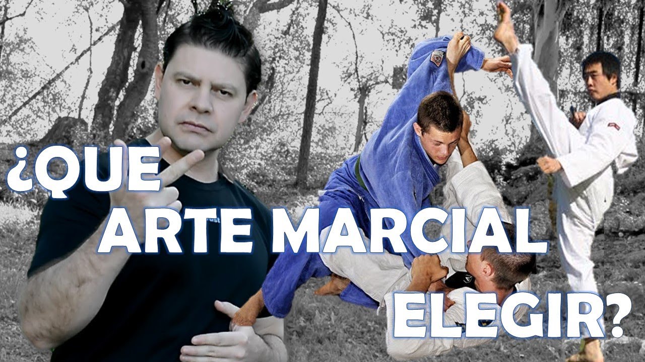 Que ARTE MARCIAL elegir ¿deporte, sistema MILITAR o arte tradicional?