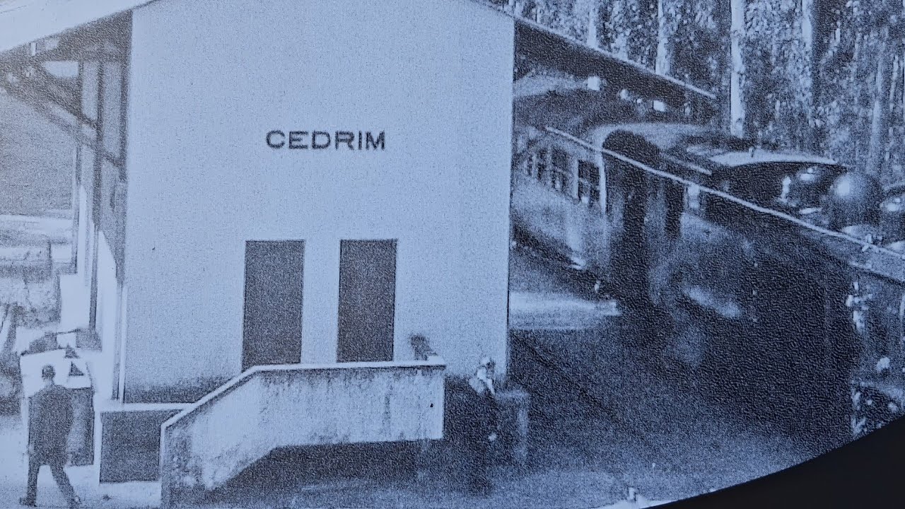 Apeadeiro de Cedrim