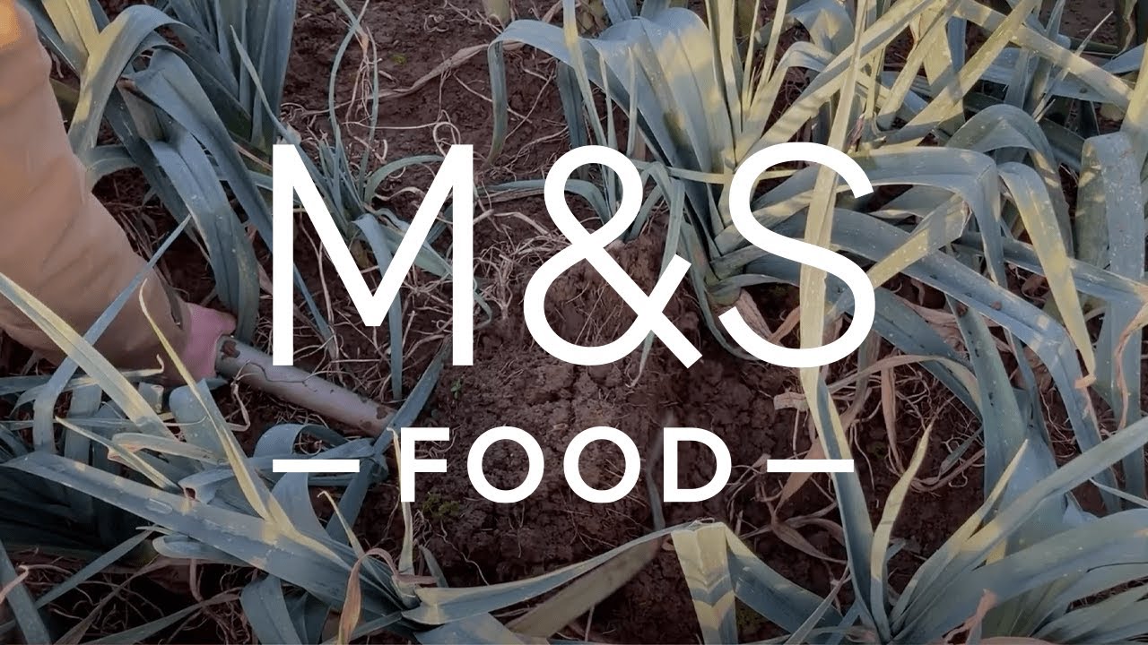 Introduction to A H Worths part of the M & S Farming with Nature Program