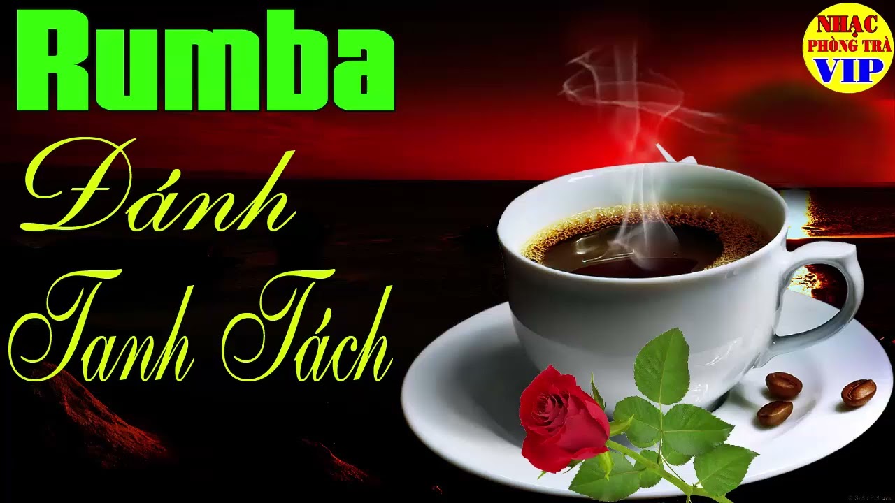 Nhạc Phòng Trà Thư Giãn | Hoà Tấu Rumba Nhạc Xưa | Guitar Phòng Trà Thư Giãn Nhẹ Nhàng