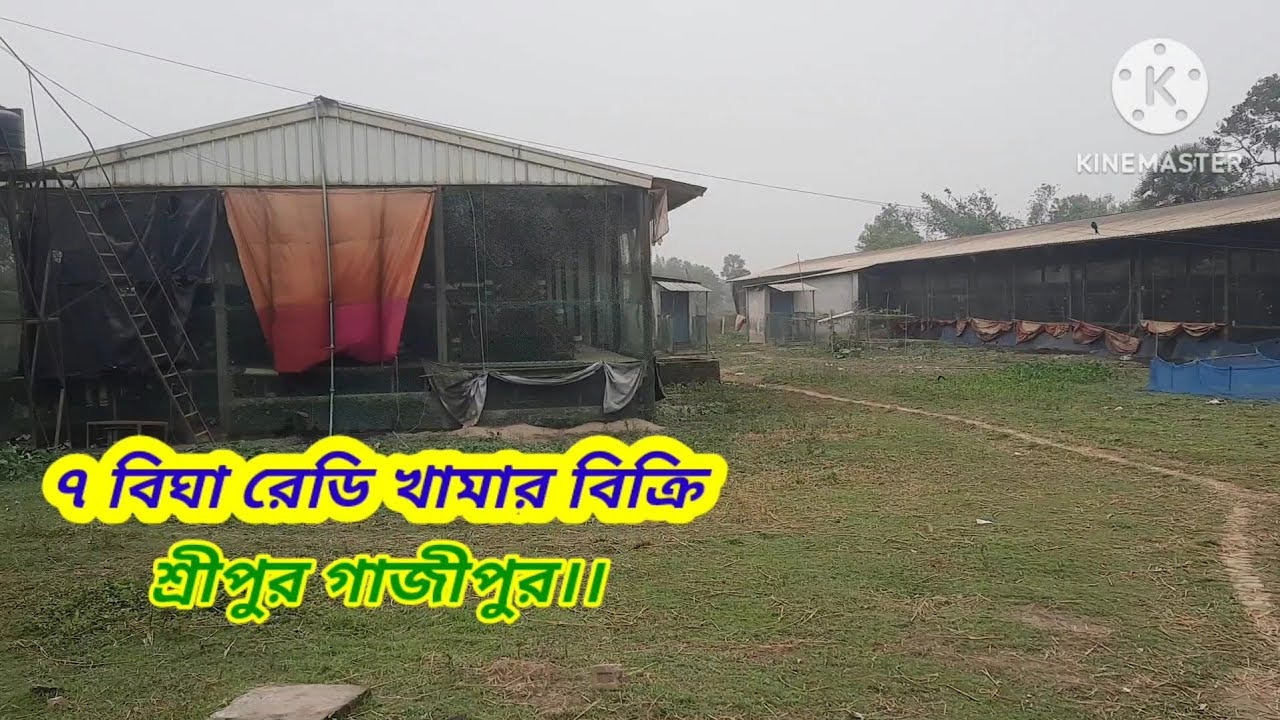 ৭ বিঘা রেডি খামার বিক্রি।। শ্রীপুর গাজীপুর।। #asset seller#Agro Land sale Sreepur Gazipur