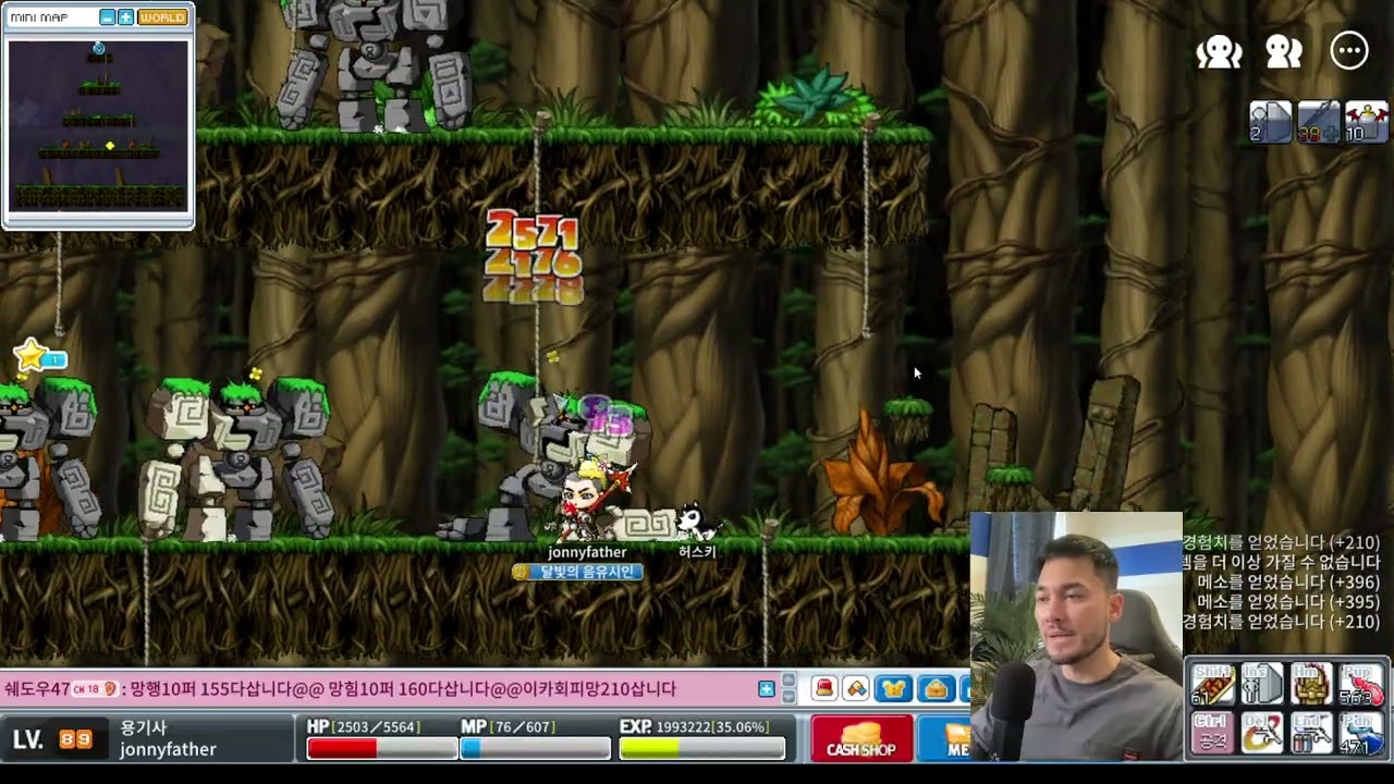 My thoughts on Classic Maplestory 2026 while griding Golems in Mapleland.