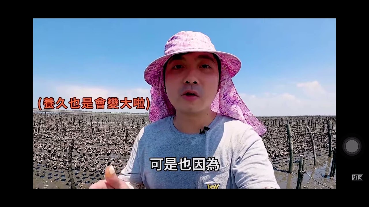 四下─養蚵2