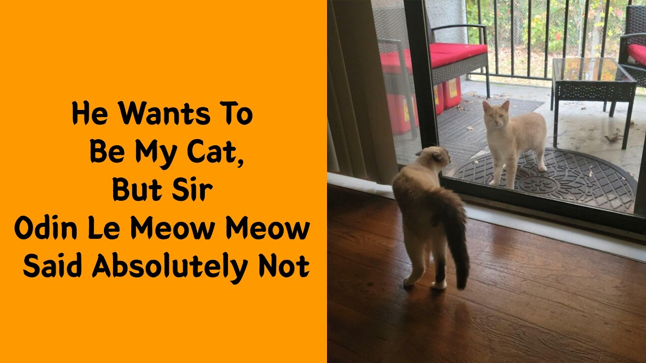 50 Times Animals Broke The Simulation