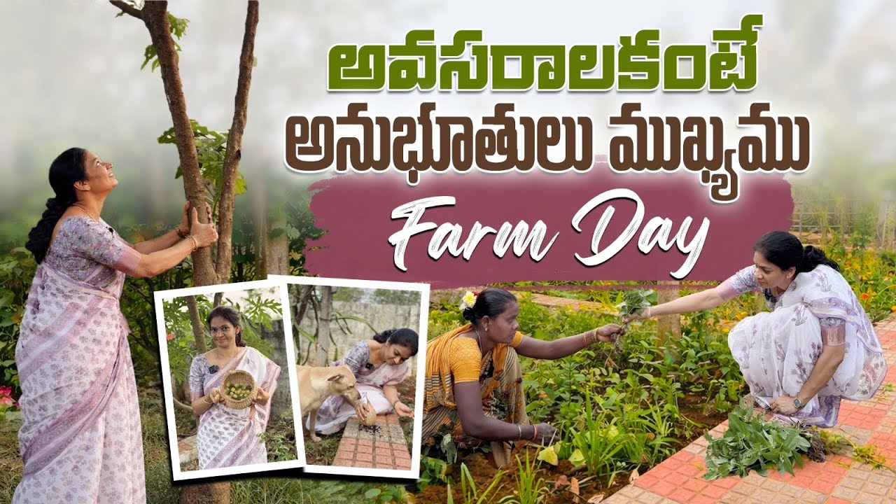 Farm Day/పరుగులు ఆపితే జీవితం కనిపిస్తుంది @MADGARDENER  ##farm  #farming  #farmlife  #gardening 