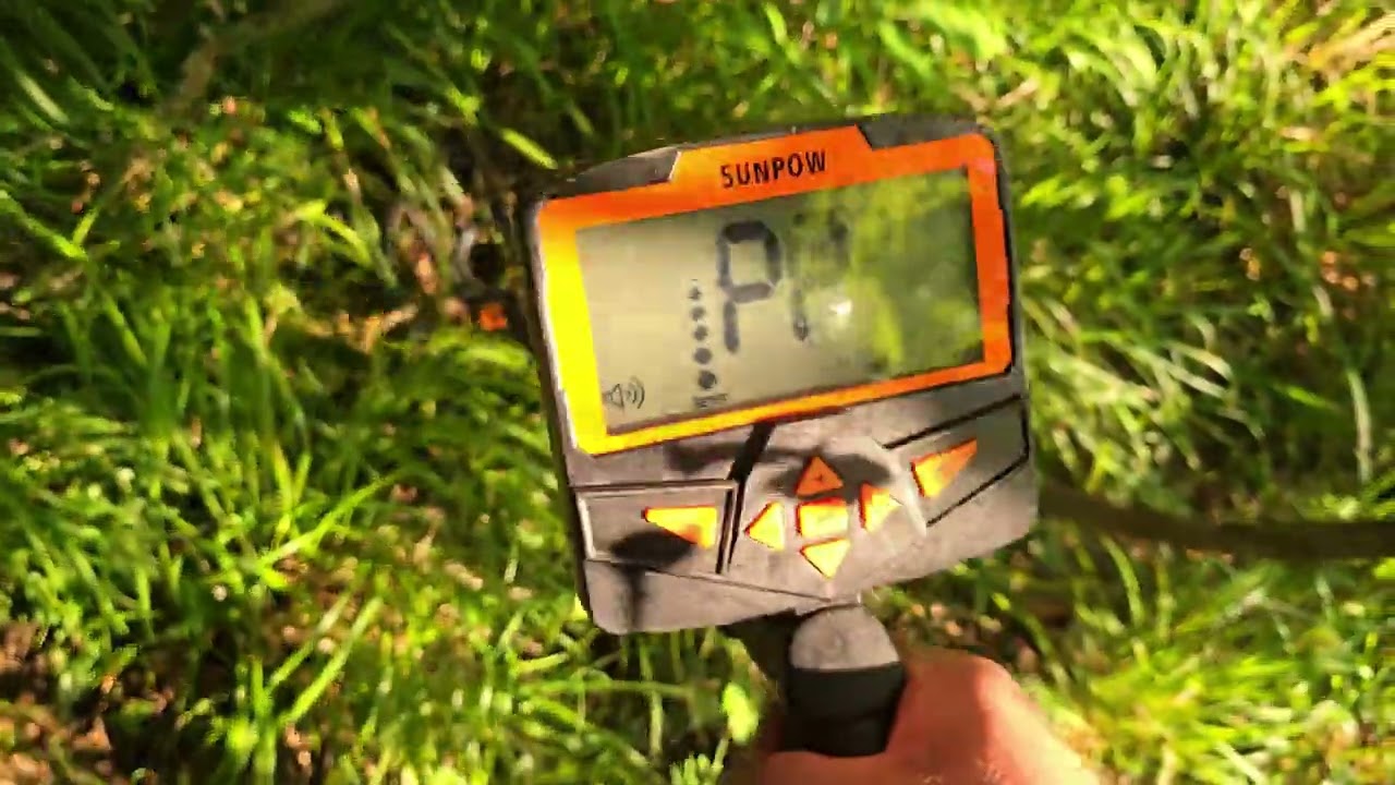 Short walk in the woods with the Sunpow metal detector - metal detecting quickie