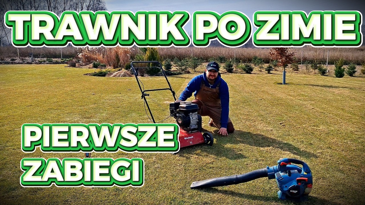 Jak uratować trawnik po zimie? 3 rzeczy kt&oacute;re MUSISZ zrobić z trawnikiem wczesną wiosną