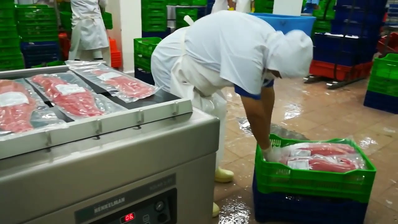 Empacadora de Vac&iacute;o DZQ-1000-2SB para carne