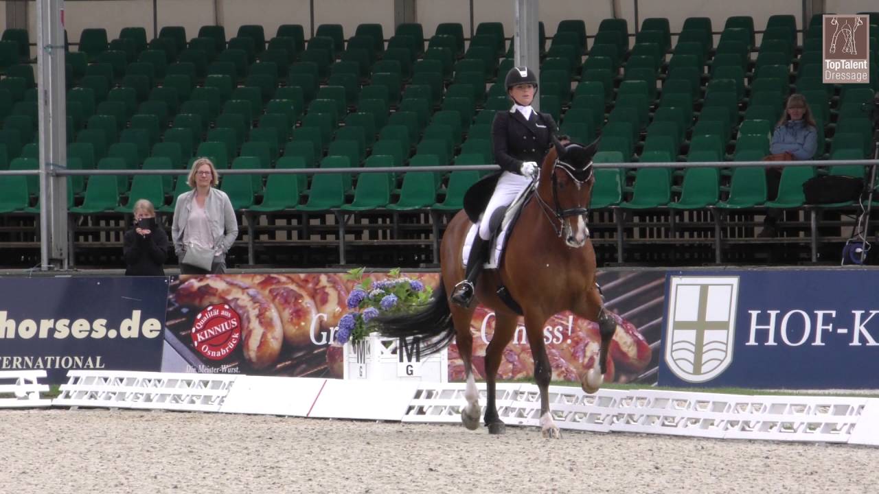 Anne Meulendijks & MDH Avanti European Championship Hagen 2016  Freestyle U25