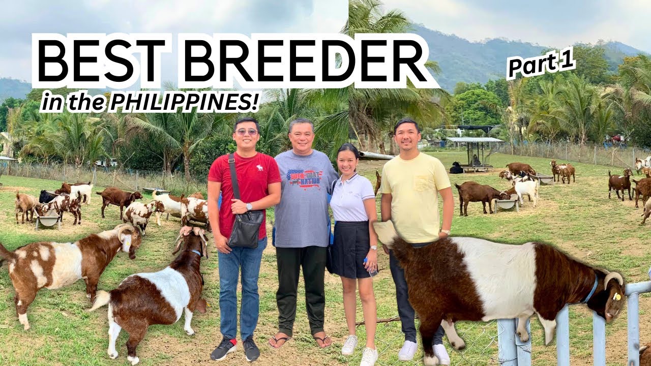 Farm Visit at ETMM Goat Farm ni Mayor Mar Ruel Sumabat | Vlog 31