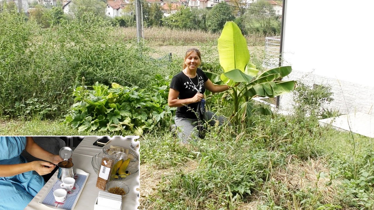 BLAGO NJIMA SA NAMA,ČIŠĆENJE BAŠTE  A POSLIJE RAZGOVOR UZ KAFICU