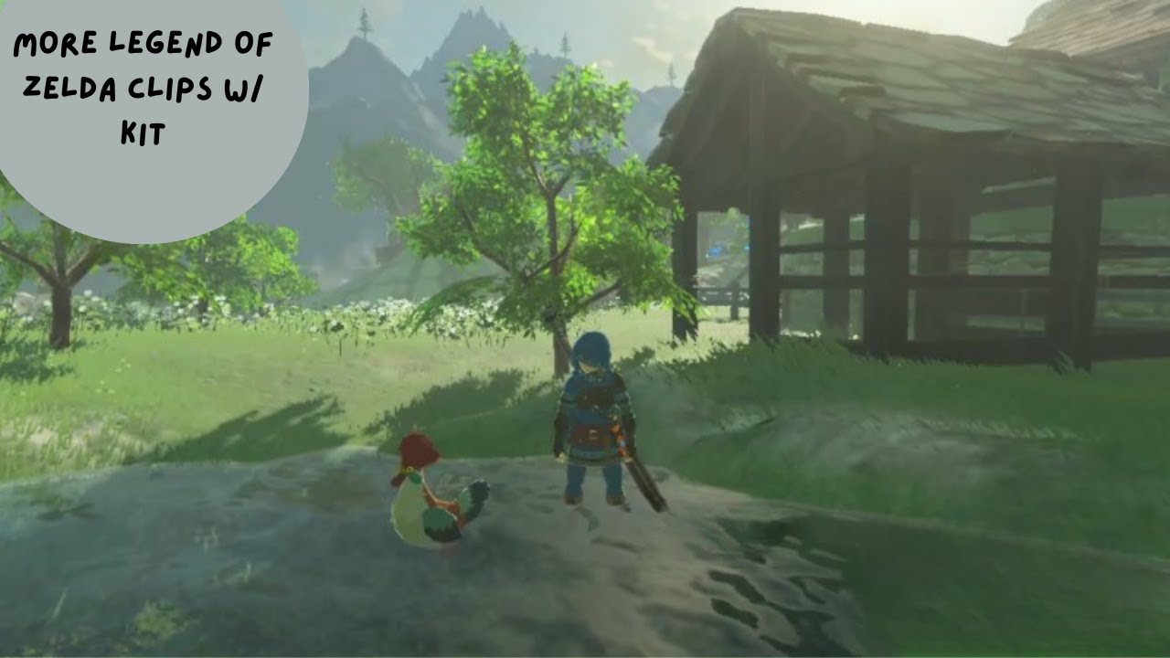 More Legend of Zelda Clips W/ Kit