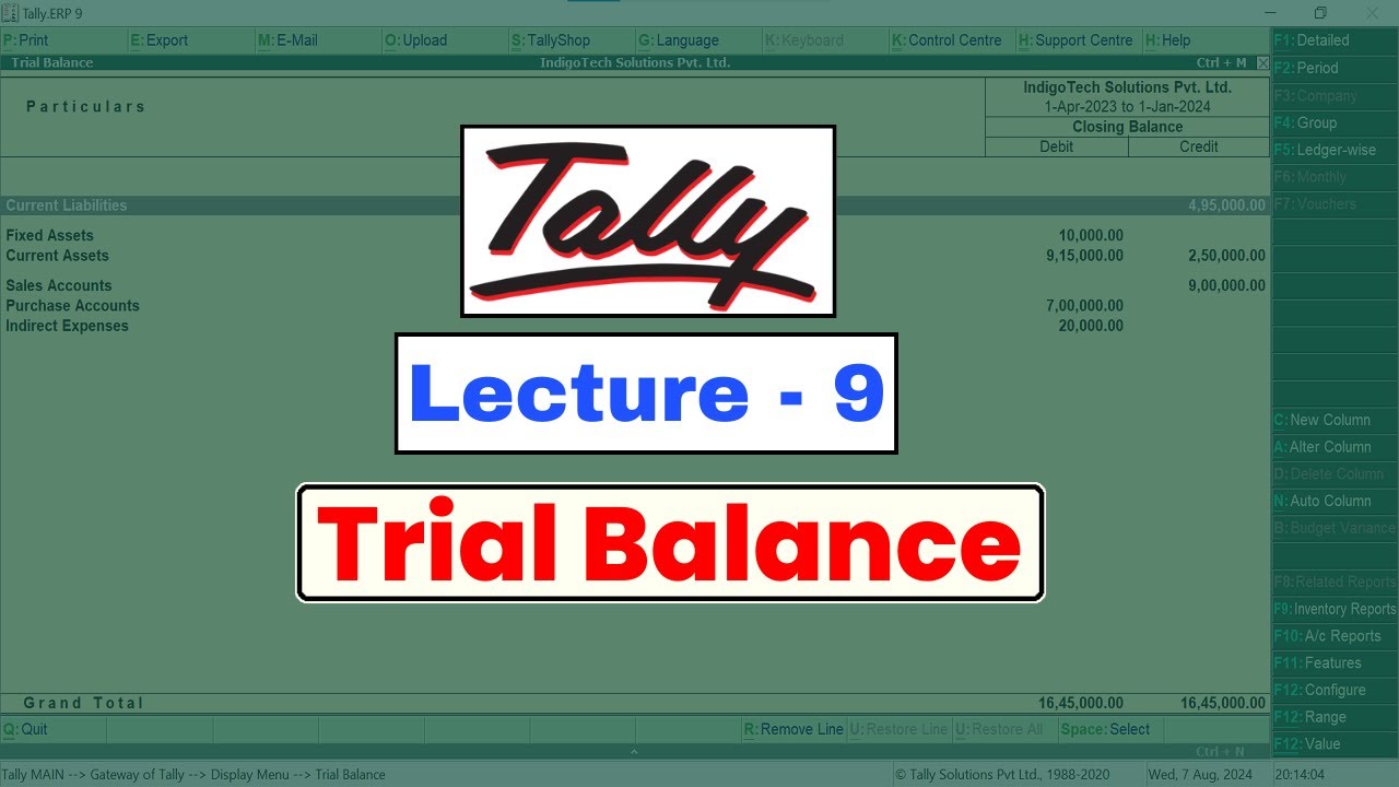 Tally Class - Lecture 9 | Trial Balance | Tally ERP 9 Course in Hindi