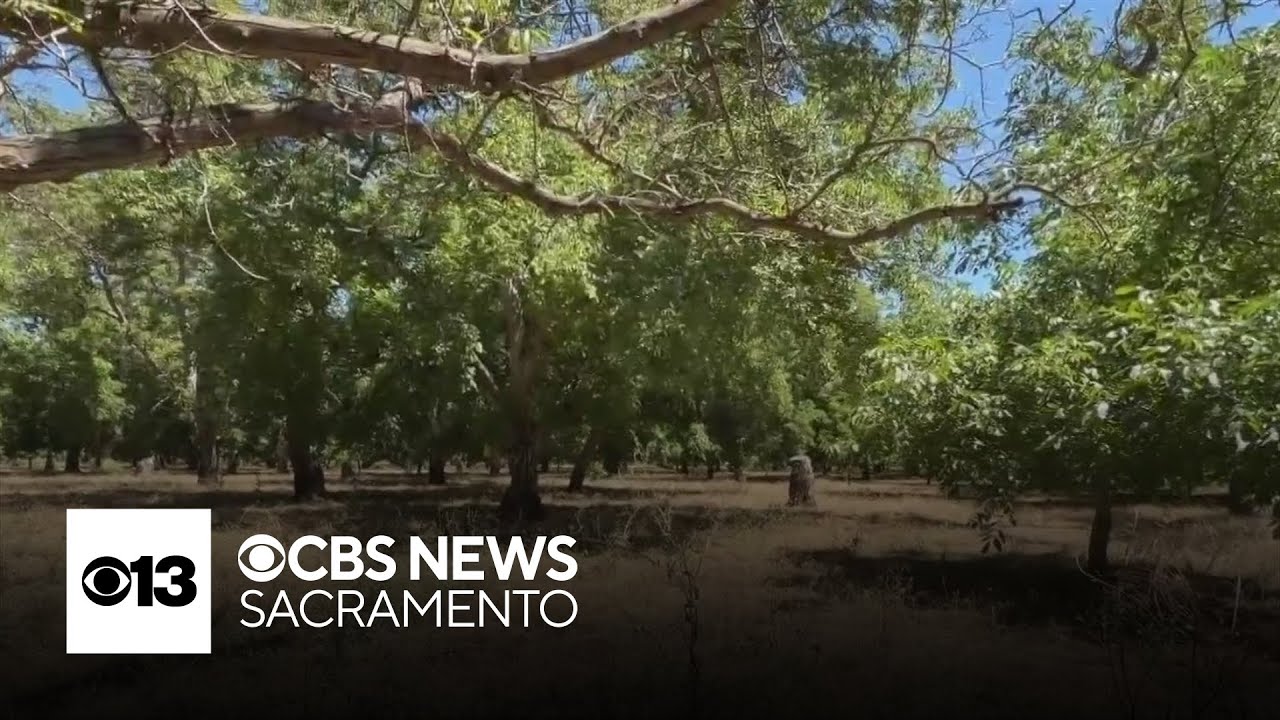 Advocates say California law addressing abandoned farmland not being enforced