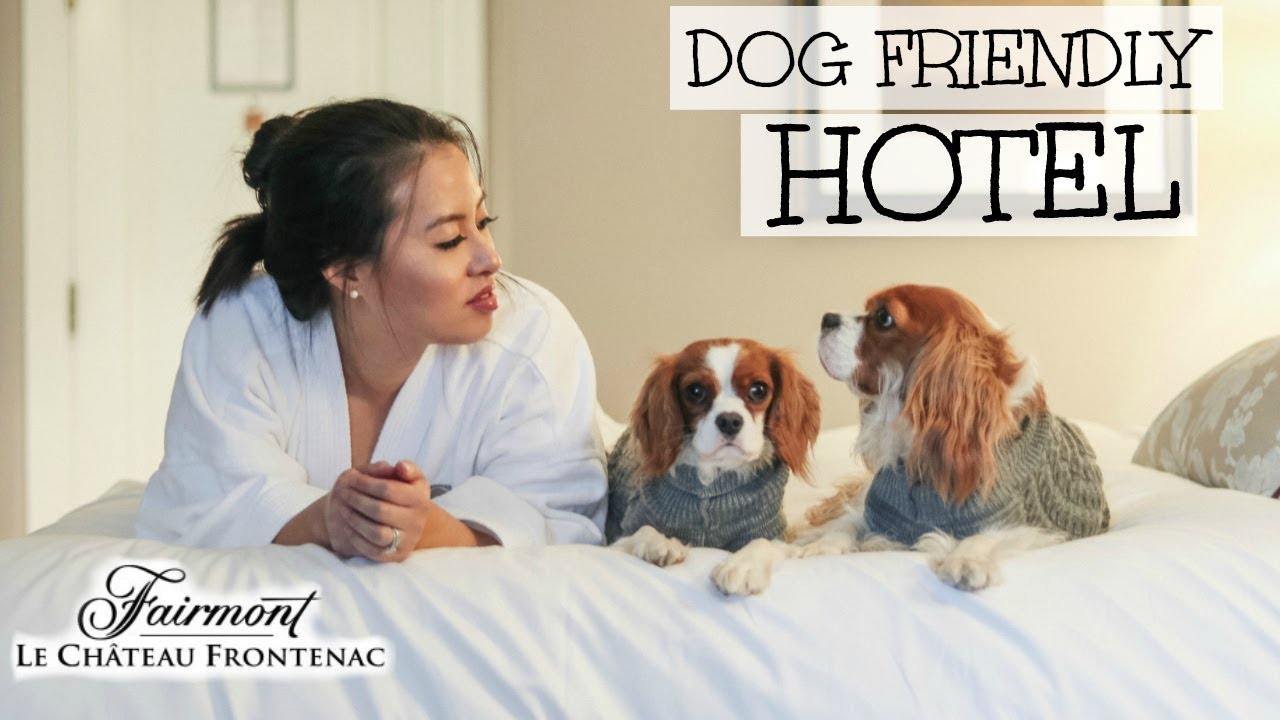 DOG FRIENDLY HOTEL | Fairmont Château Frontenac Québec City | Travelling with Dogs