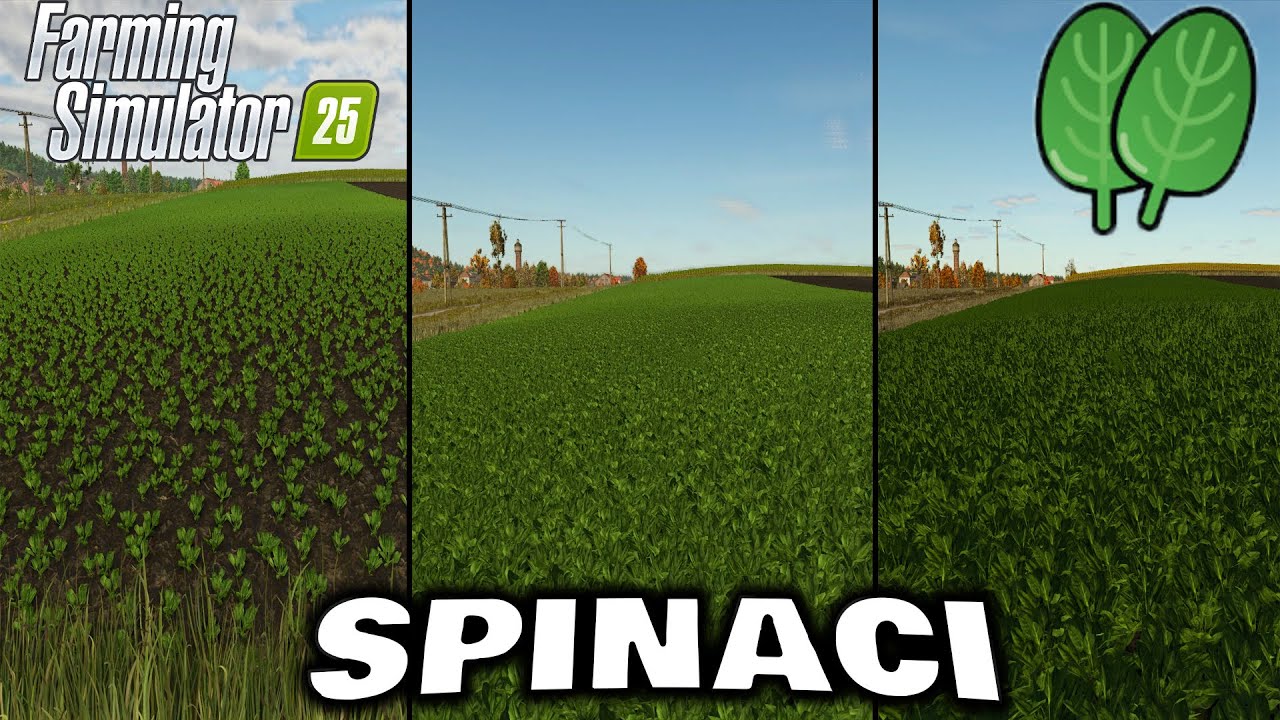 Farming Simulator25  | GUIDA seminare & raccogliere gli SPINACI