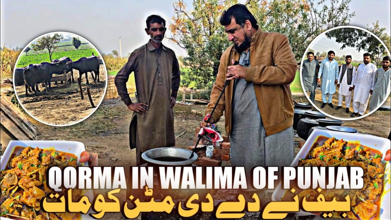 Walima lunch in Village .Beef Qorma ,Biryani in green fields❤️.