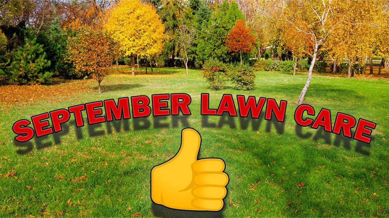 September Lawn Care for Warm Season Grass | Fall Lawn Tips for St. Augustine Grass!!