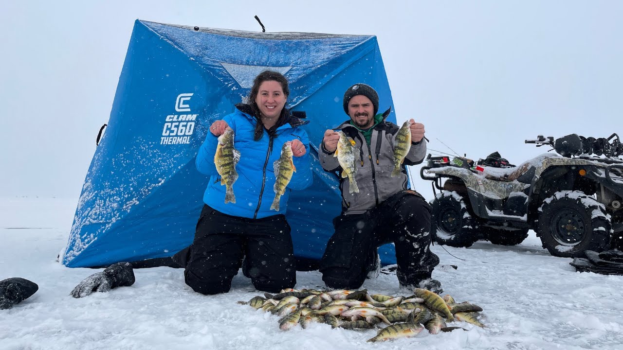 Catching Perch Limits on the Inner Bay (Underwater Catches)
