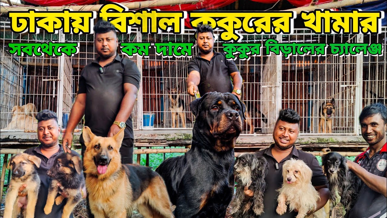 বিশাল কুকুরের খামার_সবচেয়ে কম দামে কুকুর বিড়াল_Dog Farm In BD_Rottweiler, German shepherd, Persian