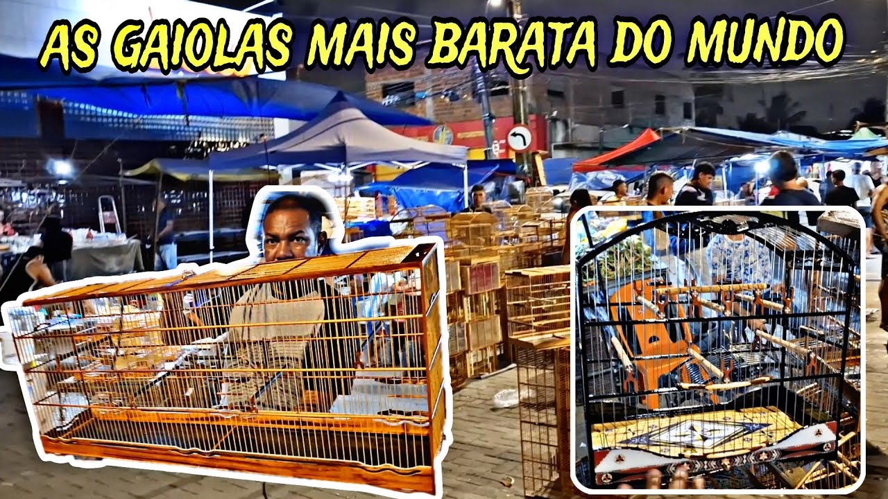 Feira de gaiolas do cordeiro às gaiolas mais barata do mundo 🌎